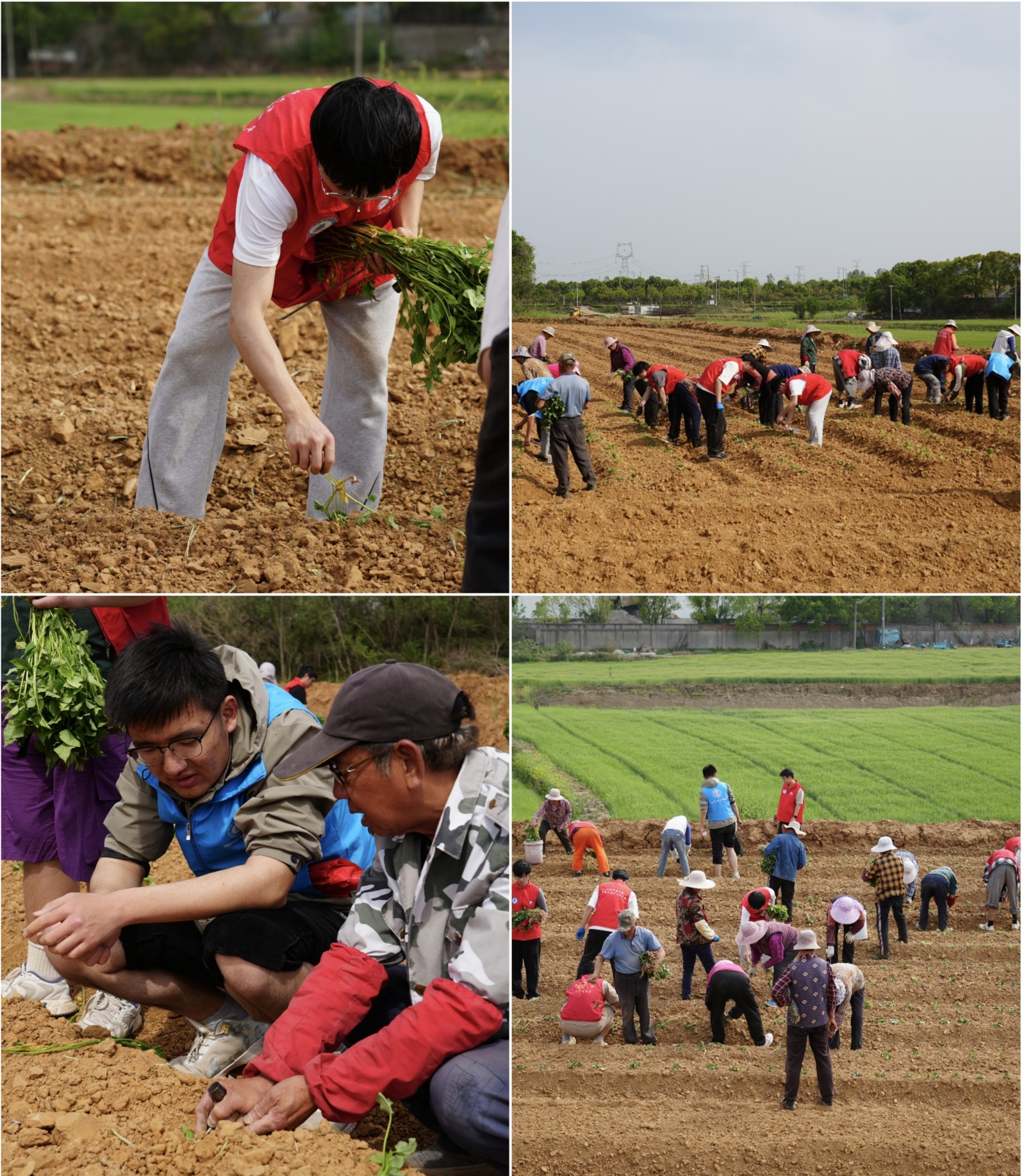 1745161423399852.jpeg 46209f52f901f6d66879fdbe28c716d1.jpeg