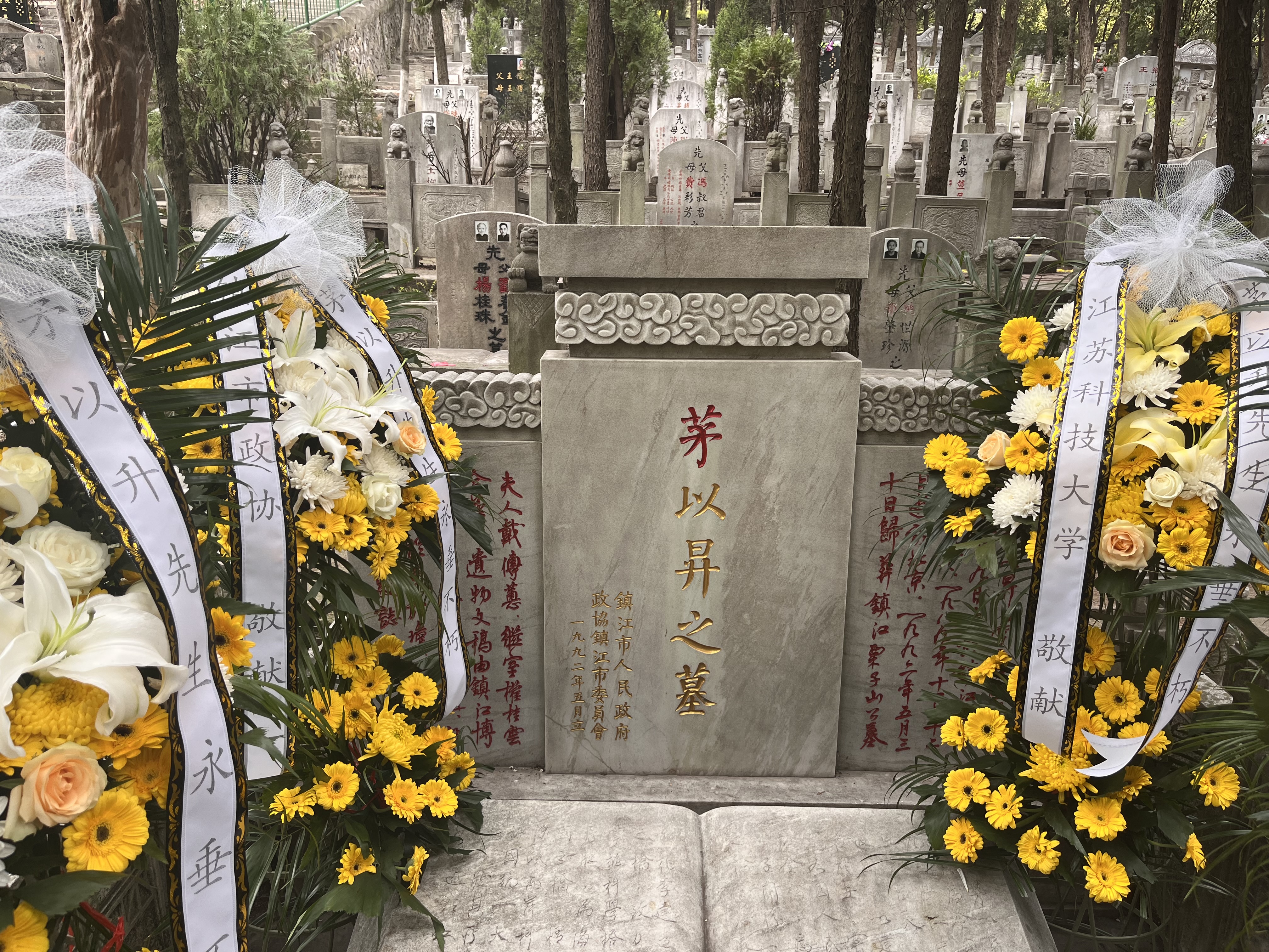 1680360208915568.jpg IMG_7496.JPG