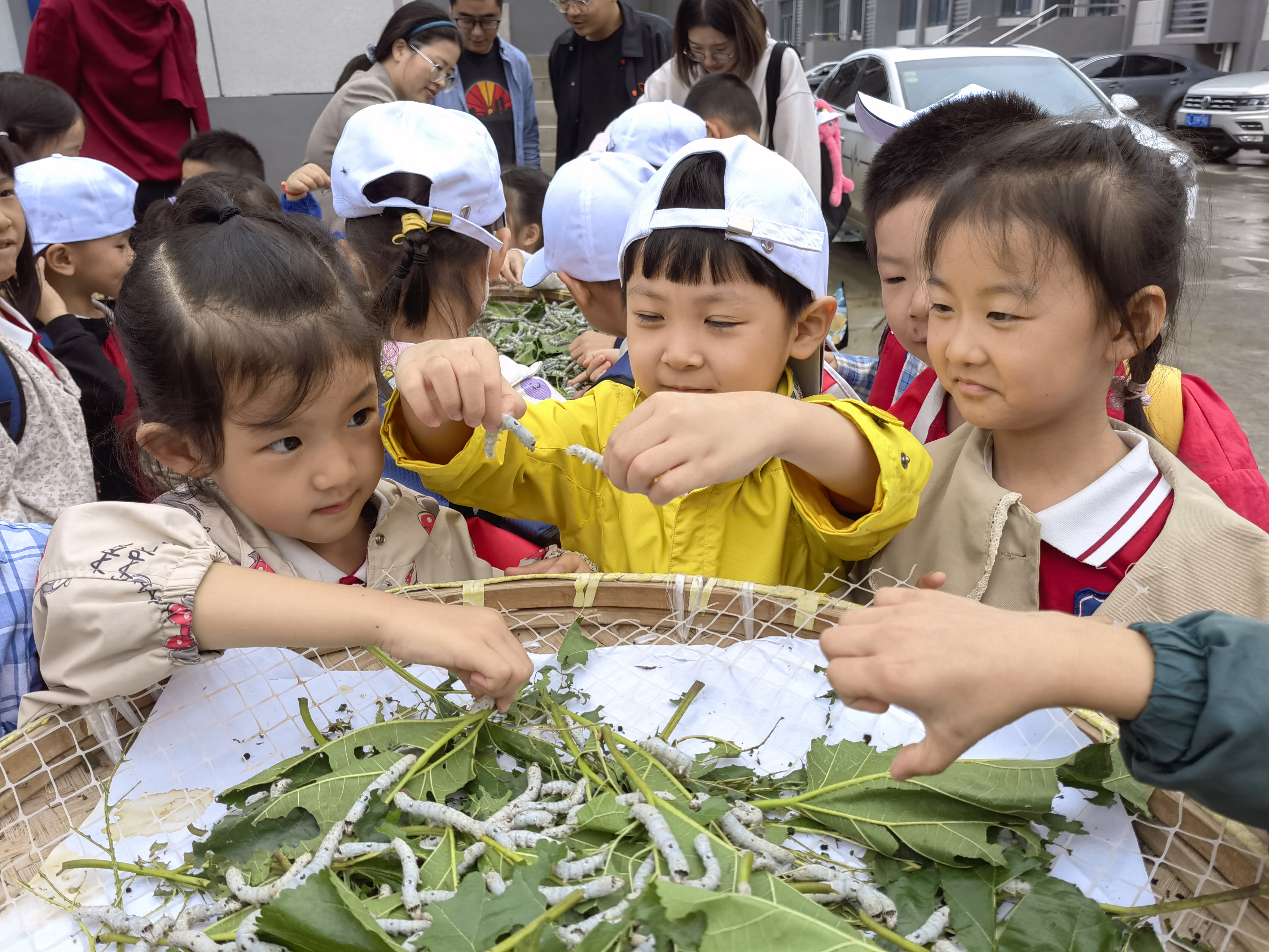 1695698504251651.jpg 33.jpg