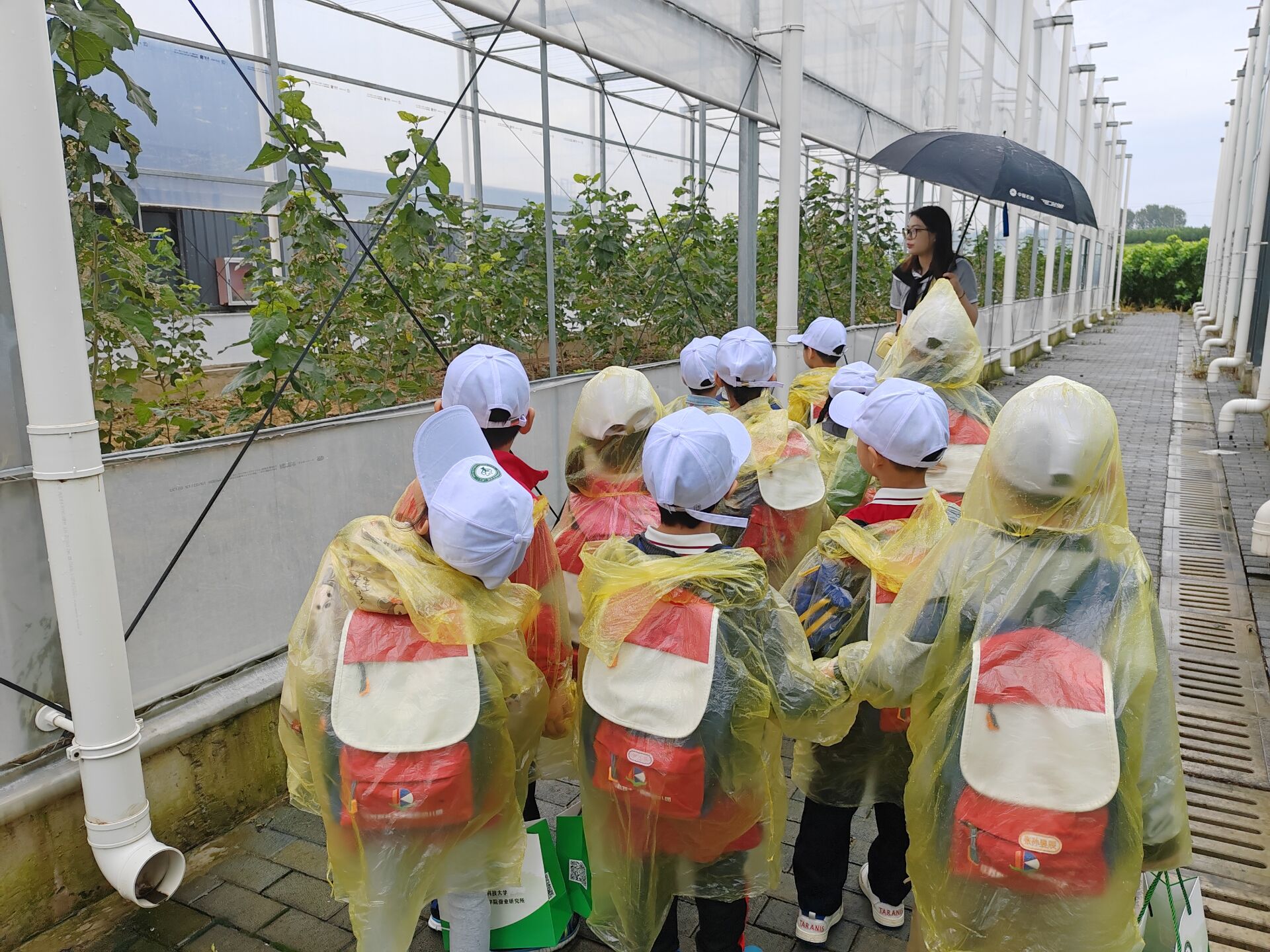 1695698530268156.jpg 22.jpg