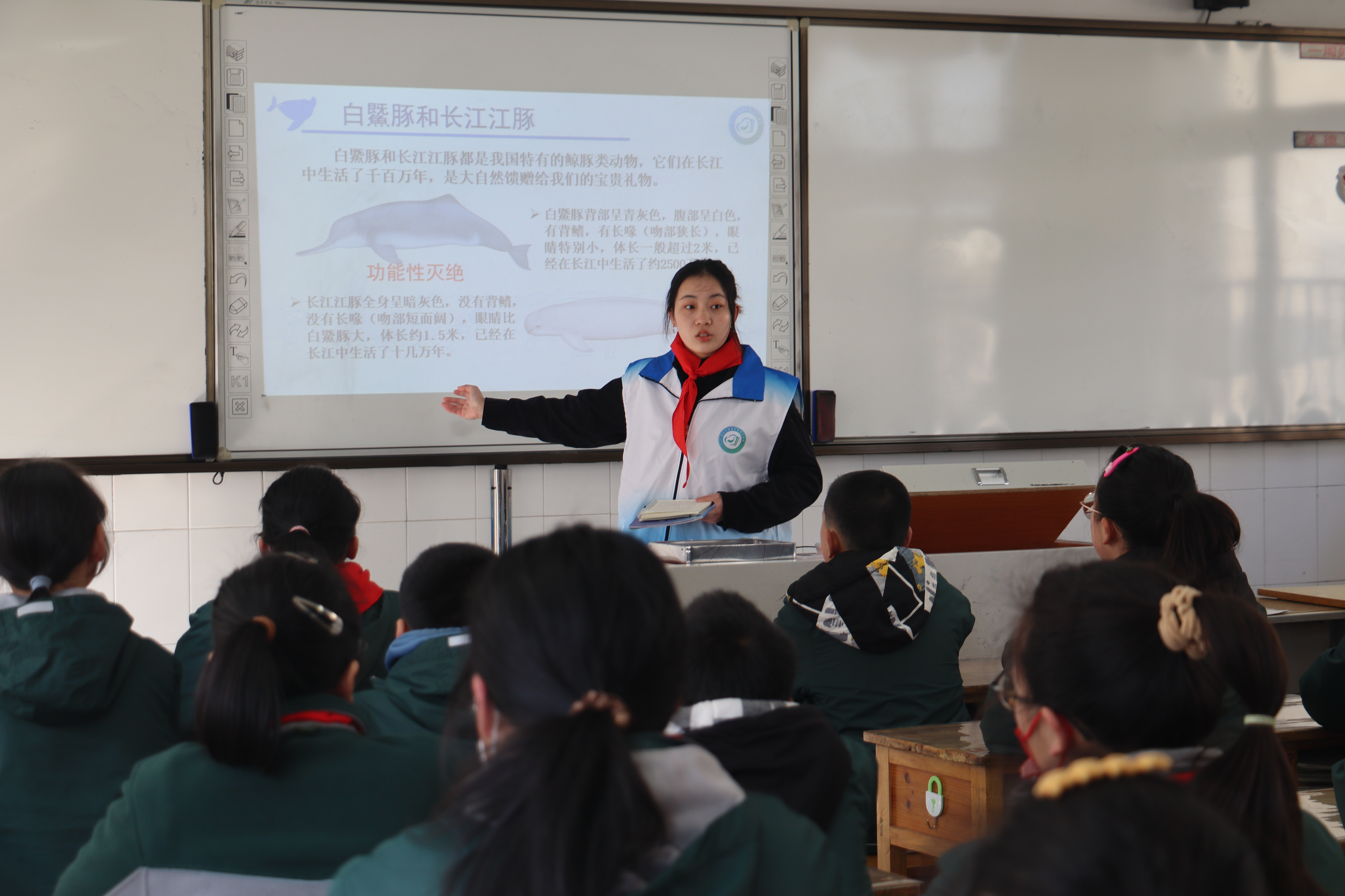 1677741353814945.jpg 2.JPG