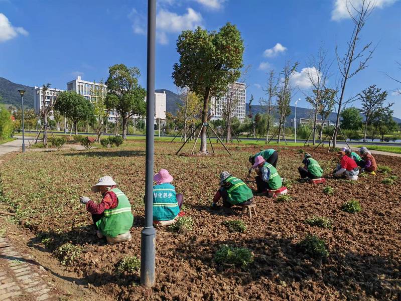 1698375648173930.jpg 6-1.jpg