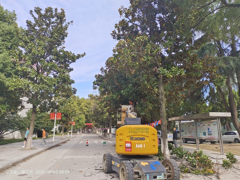 1696655786445681.jpg 4-1.jpg