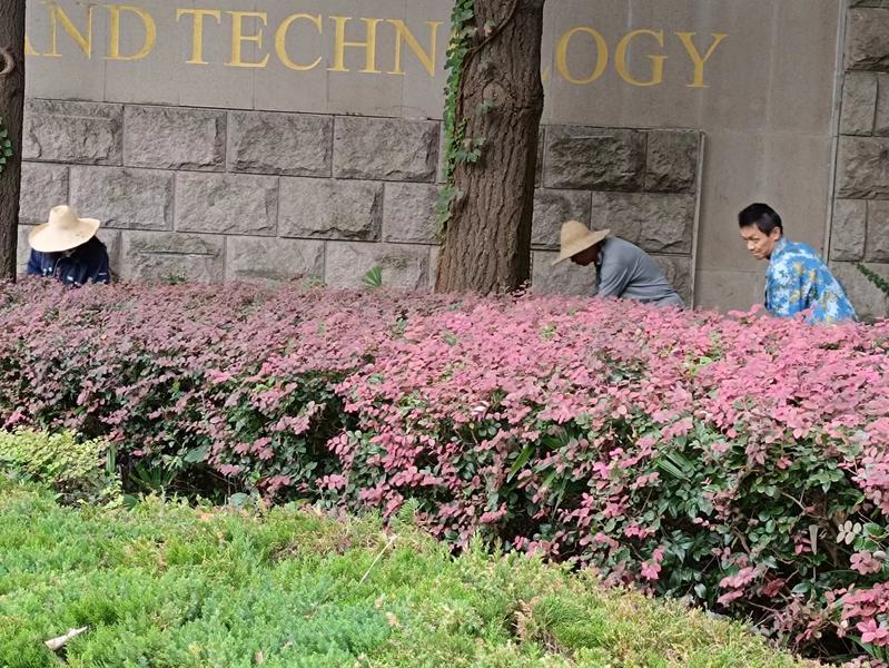 1696655799480186.jpg 4-2.jpg