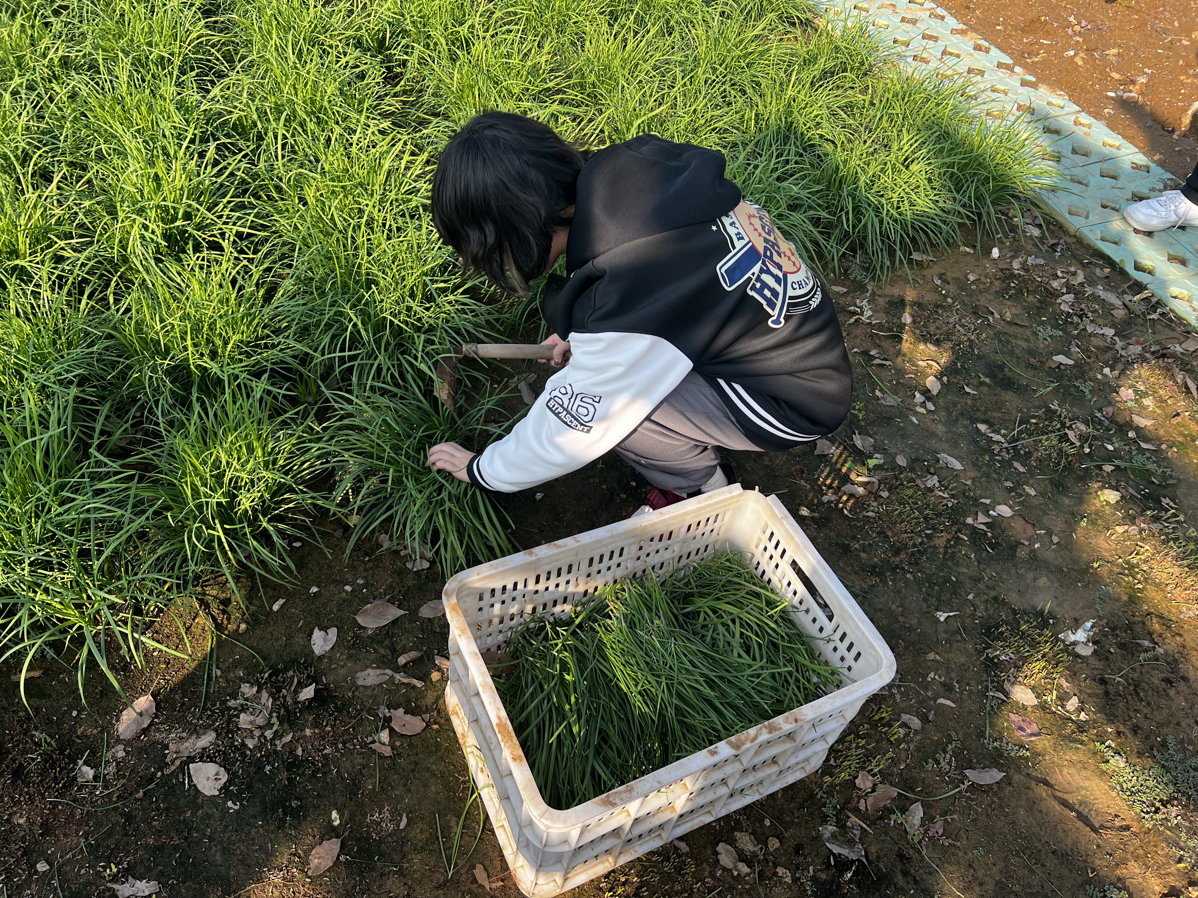 1729734043869357.jpg 35718b2b533dccd132e4e8d5873d266.jpg