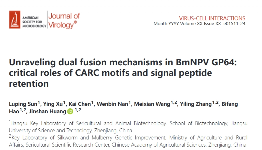 1732764997601080.png 图片1.png