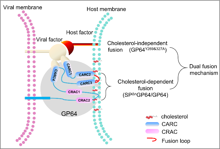 1732765006566193.png 图片2.png