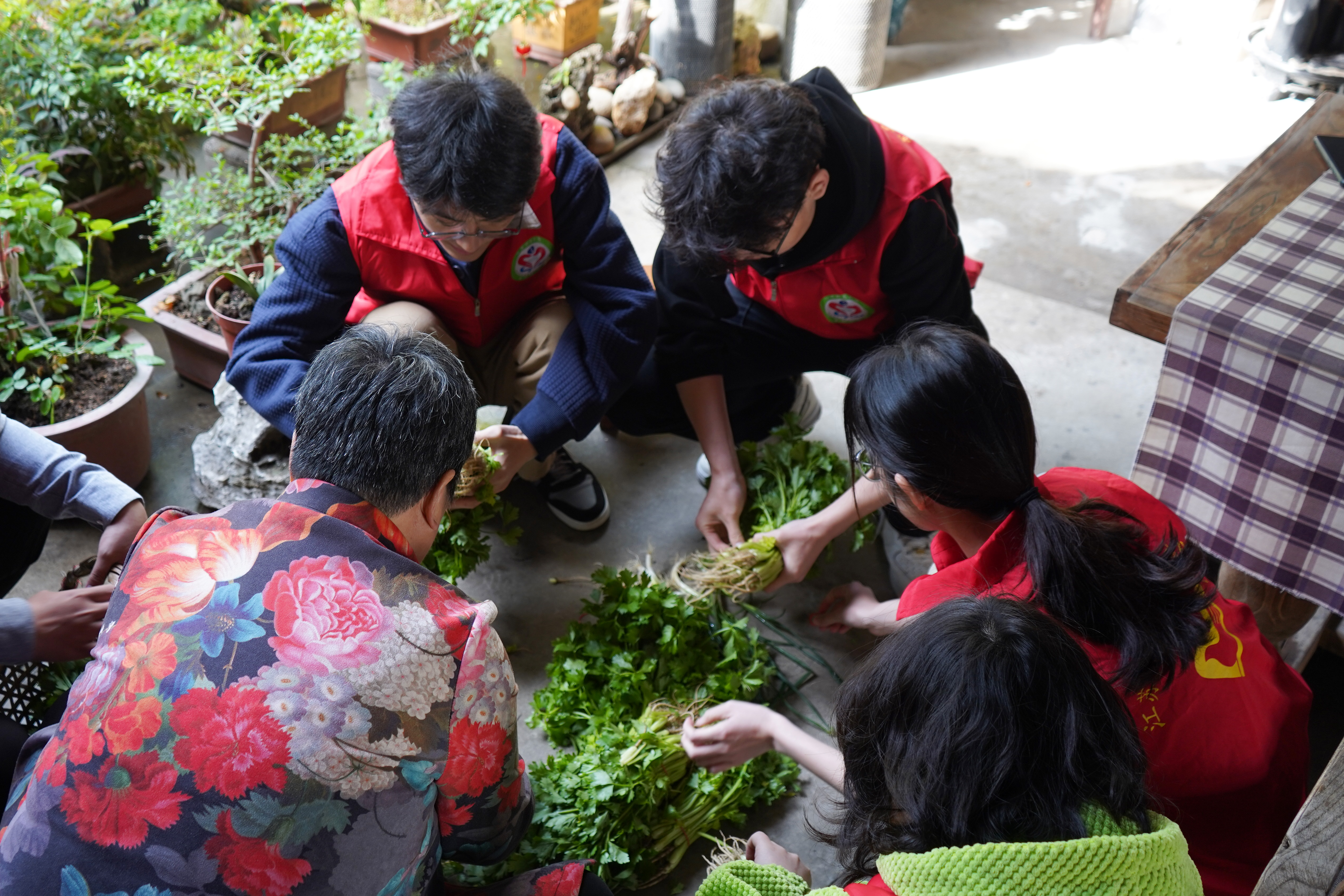 1681793538467577.jpg 图2.JPG