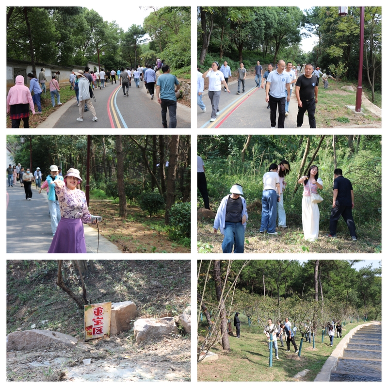 1727667799774393.jpg 2.jpg