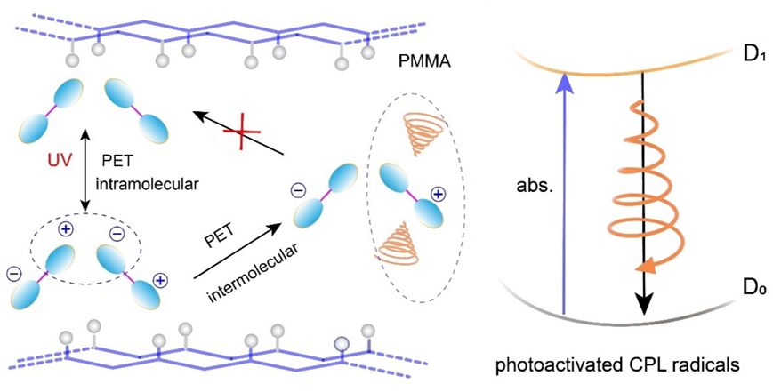 1723555829252696.png image.png