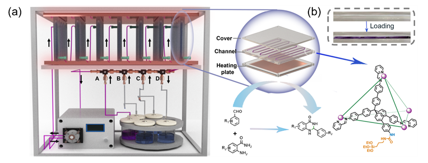 1723555793663007.png image.png