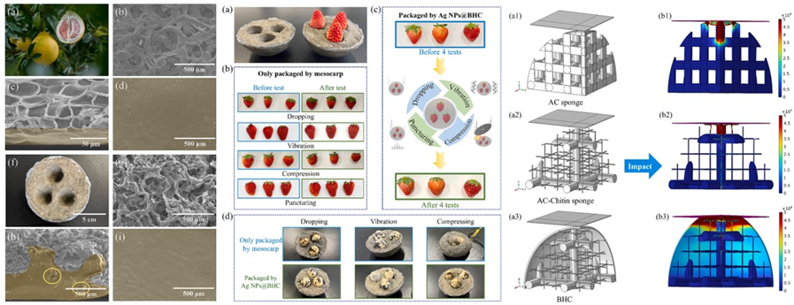 1723555747291925.png image.png