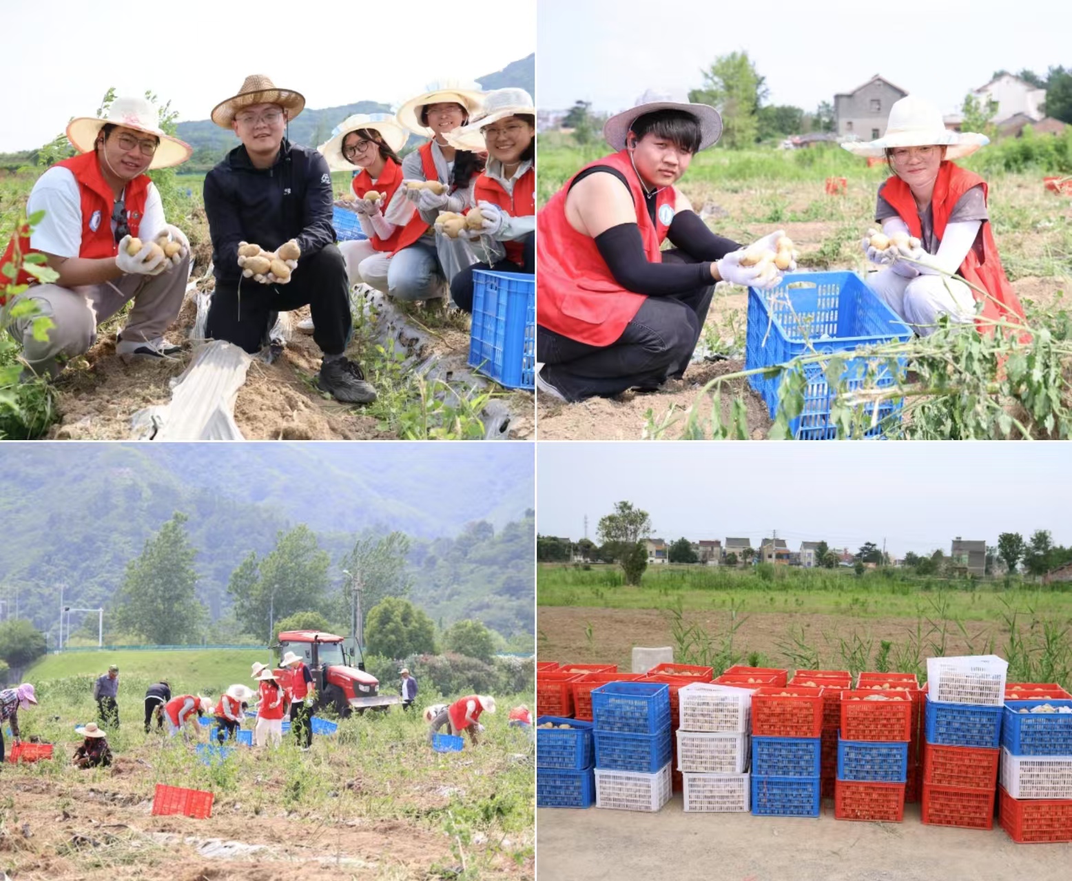 1750385761554093.jpg b1e7cae37b862a3bab10687e9eec000.jpg