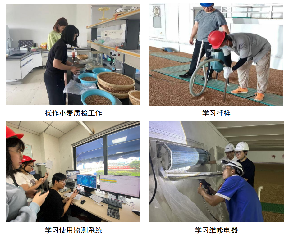 1725447273704200.png 2.png