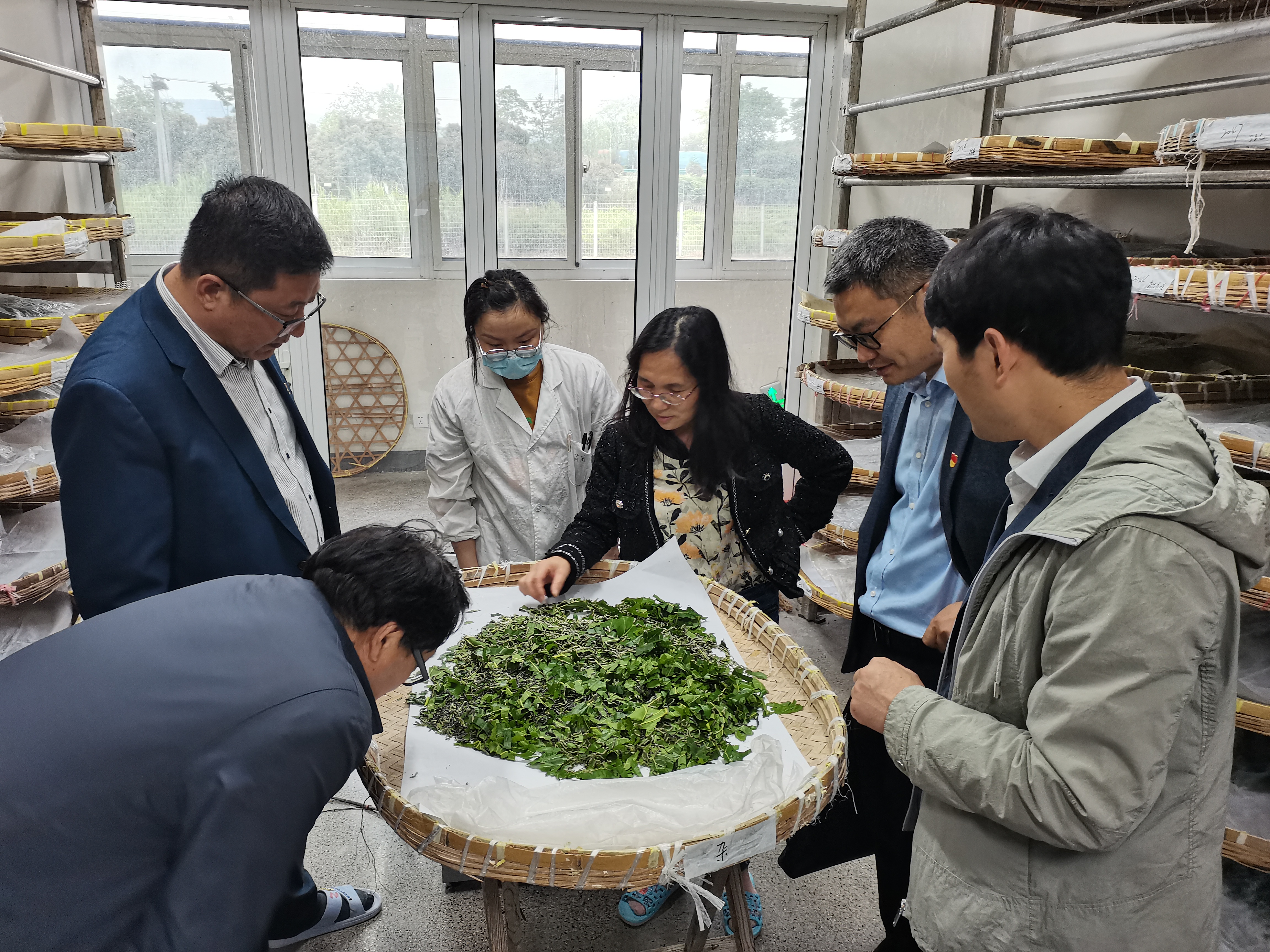 1683783563303719.jpg QQ图片20230511123837.jpg