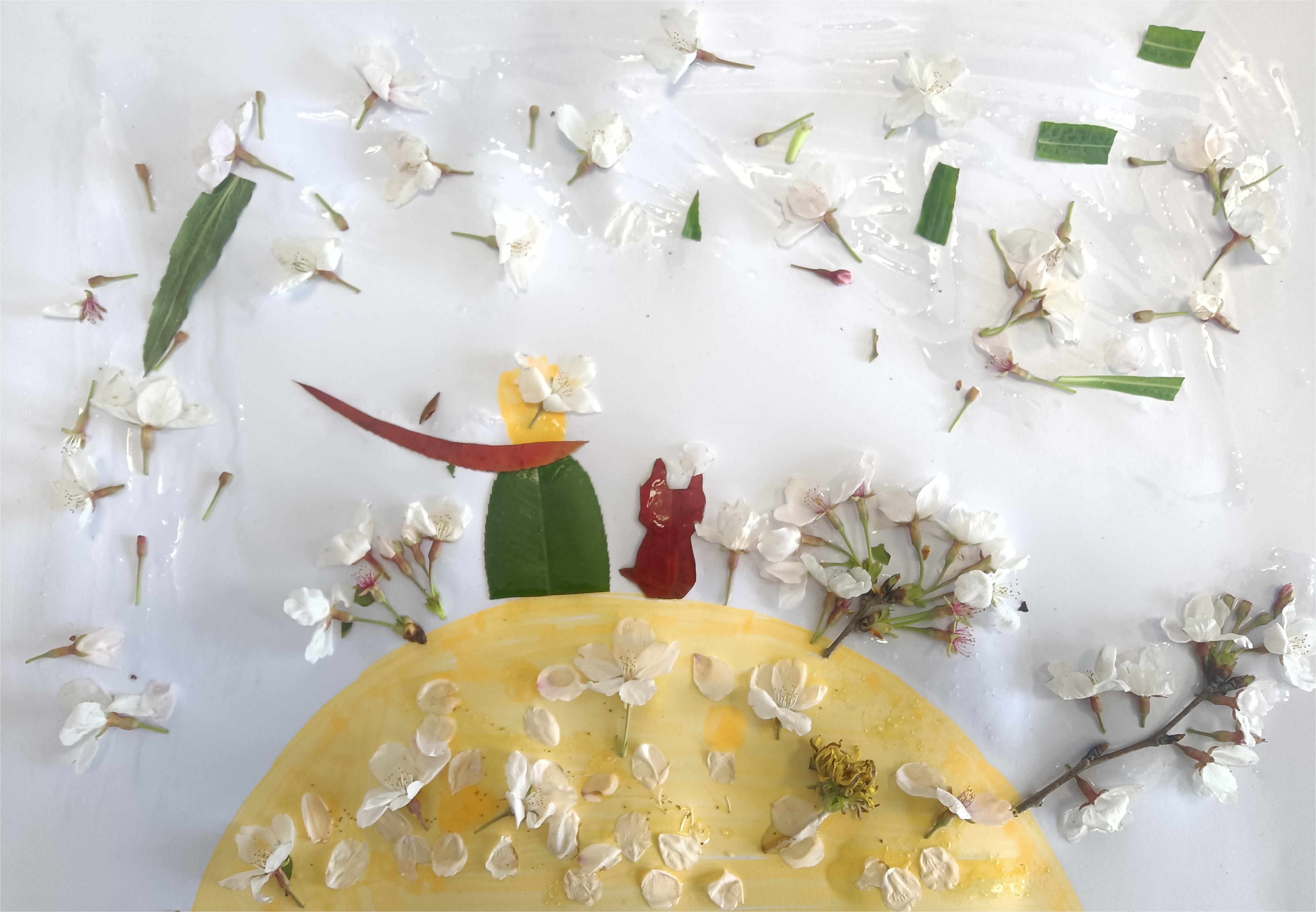 1679402234602423.jpg 1679402234602423.jpg