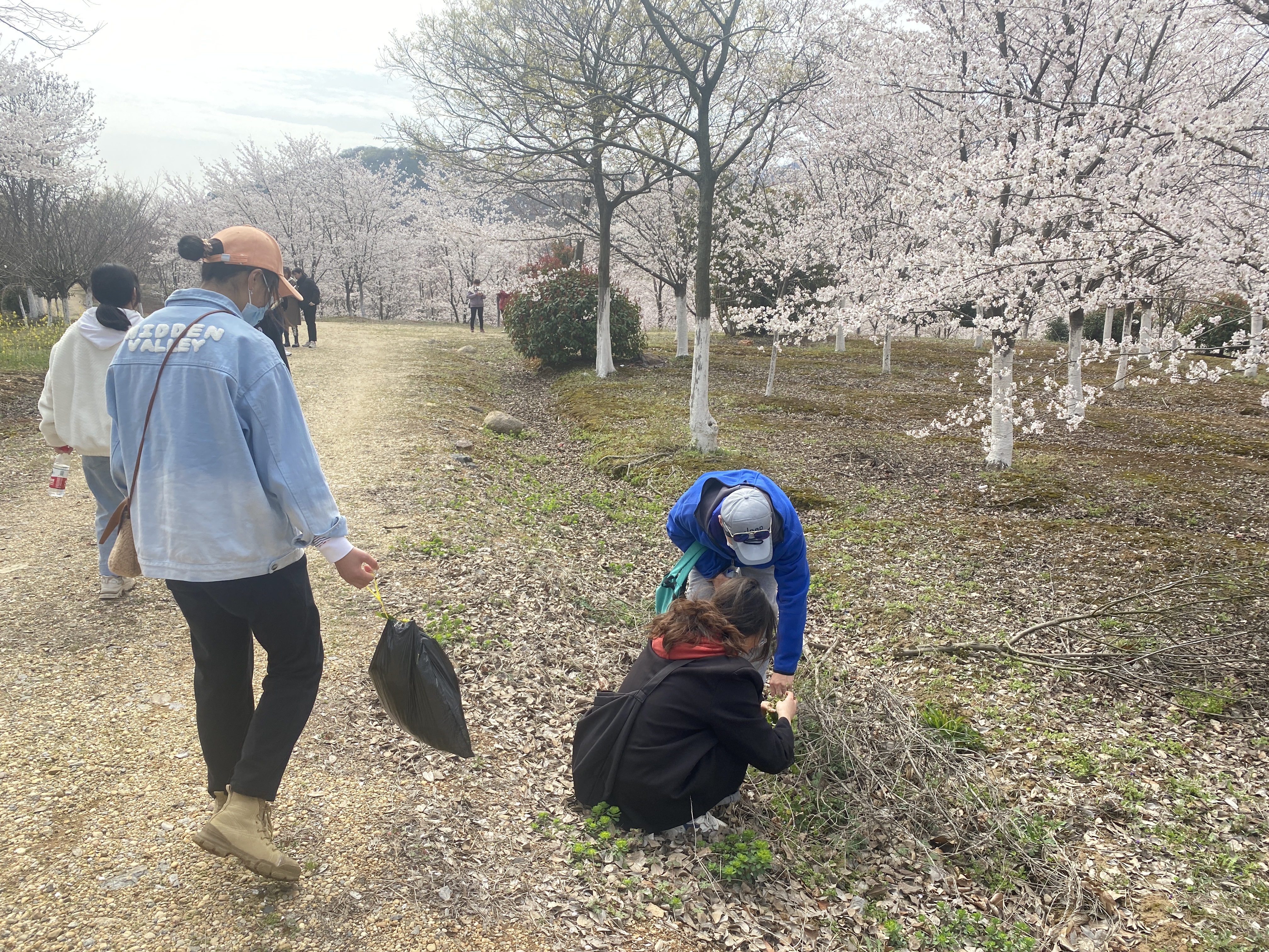 1679402279302611.jpg 1679402279302611.jpg