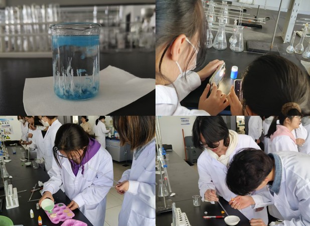 1742868340413611.jpg 1.jpg